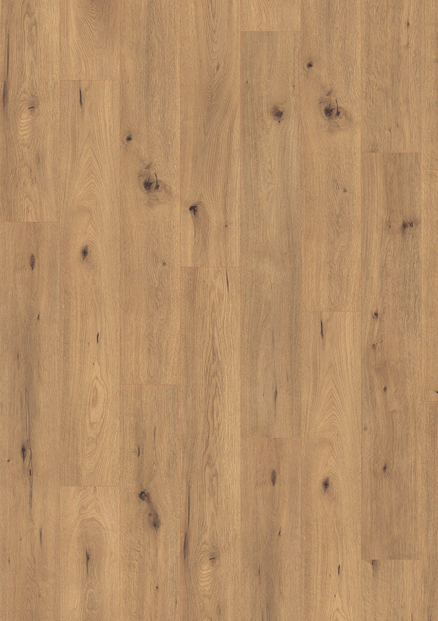 Madison City 4844 Oak spirit V4