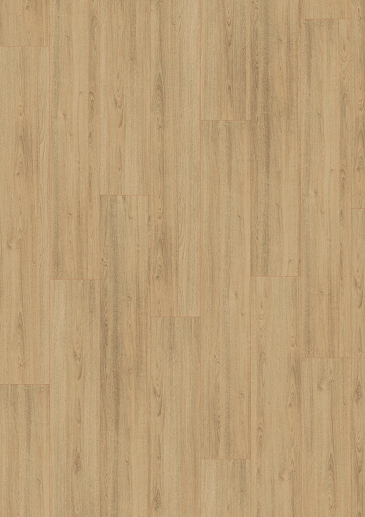 Madison City 4842 Oak mild V4