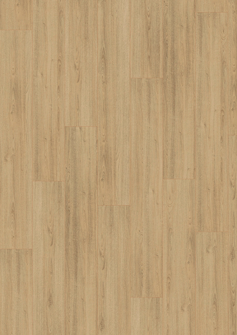 Madison City 4842 Oak mild V4