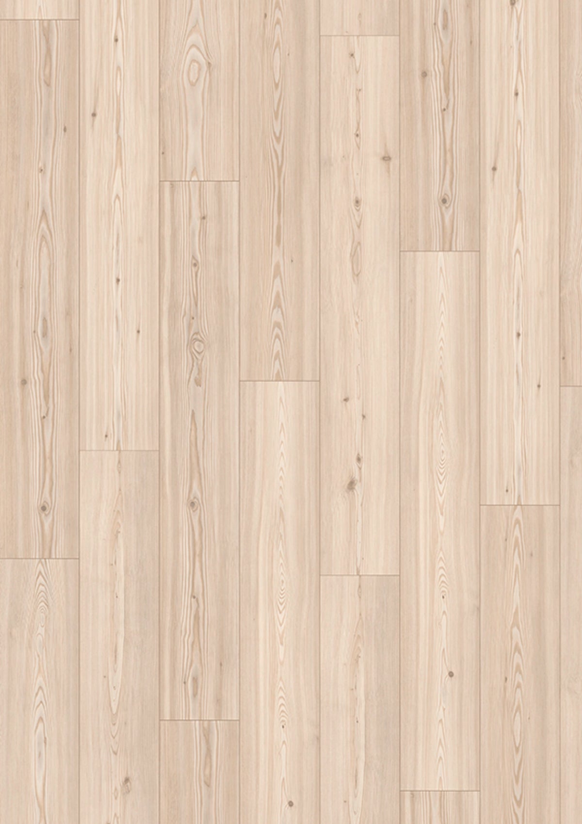 Madison City 4832 Pine nordic V4