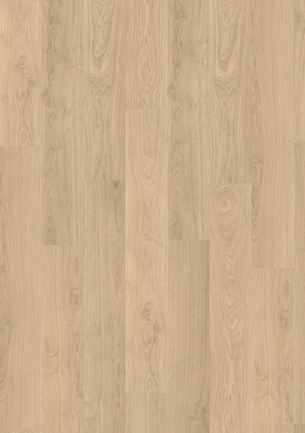 Madison 2850 Oak ruby
