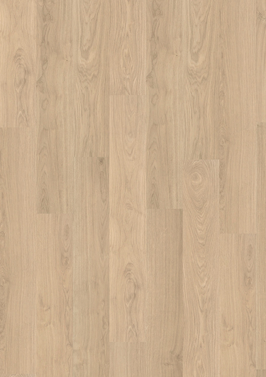 Madison 2850 Oak ruby