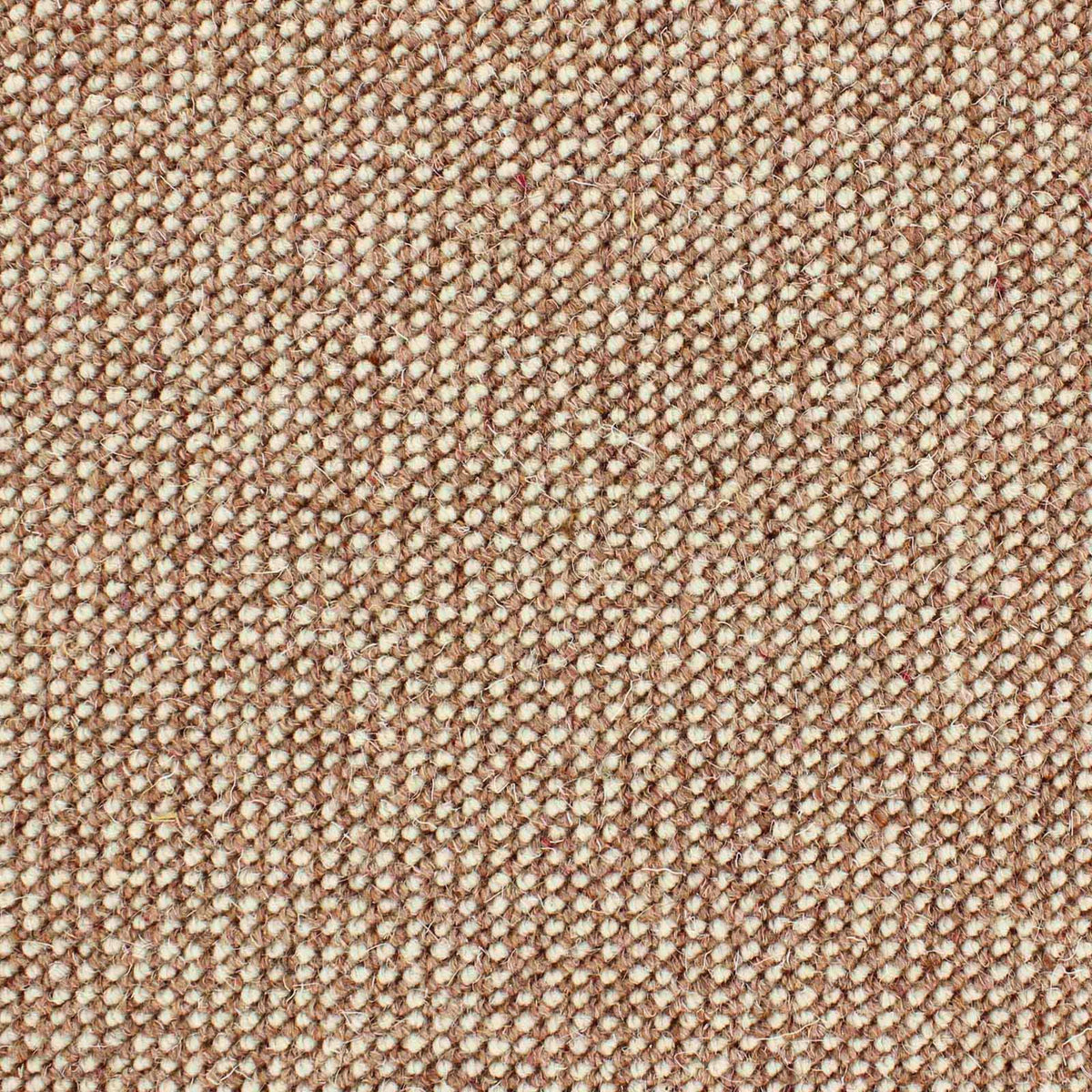 Calais Farbe 145