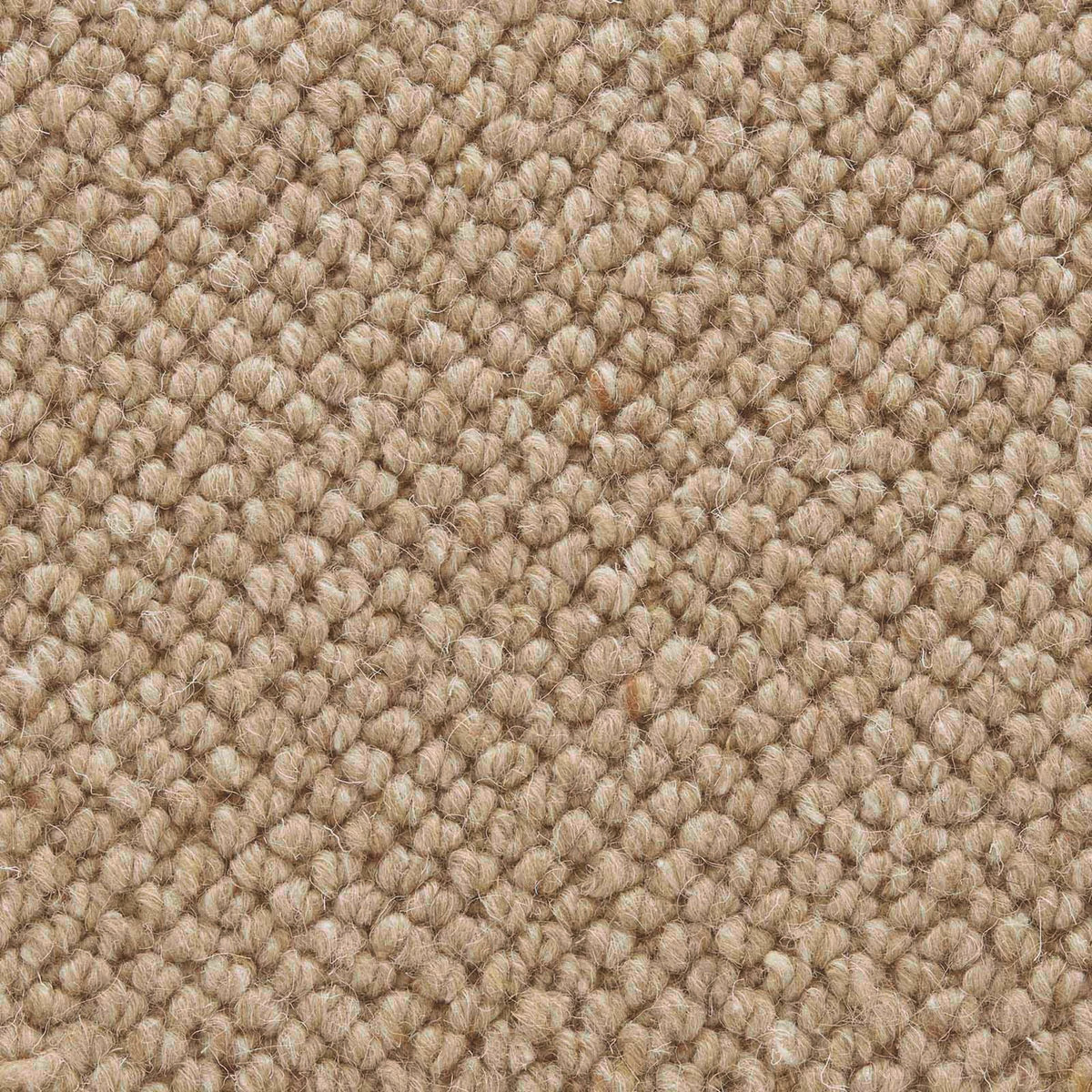 Cosmo Farbe 153
