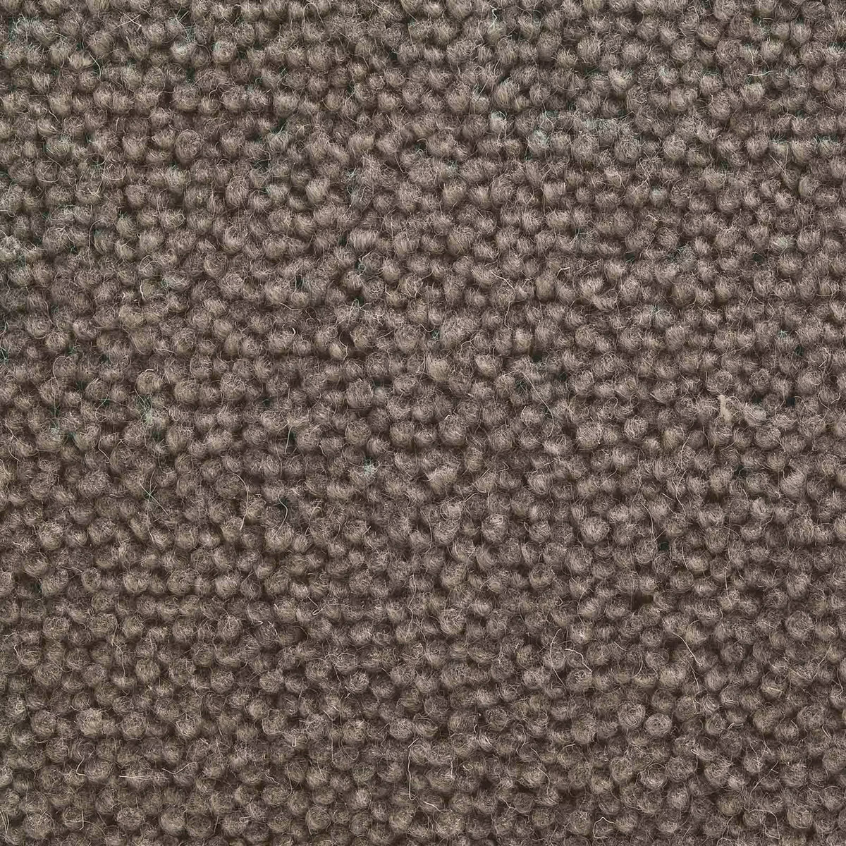 Vida Farbe 525