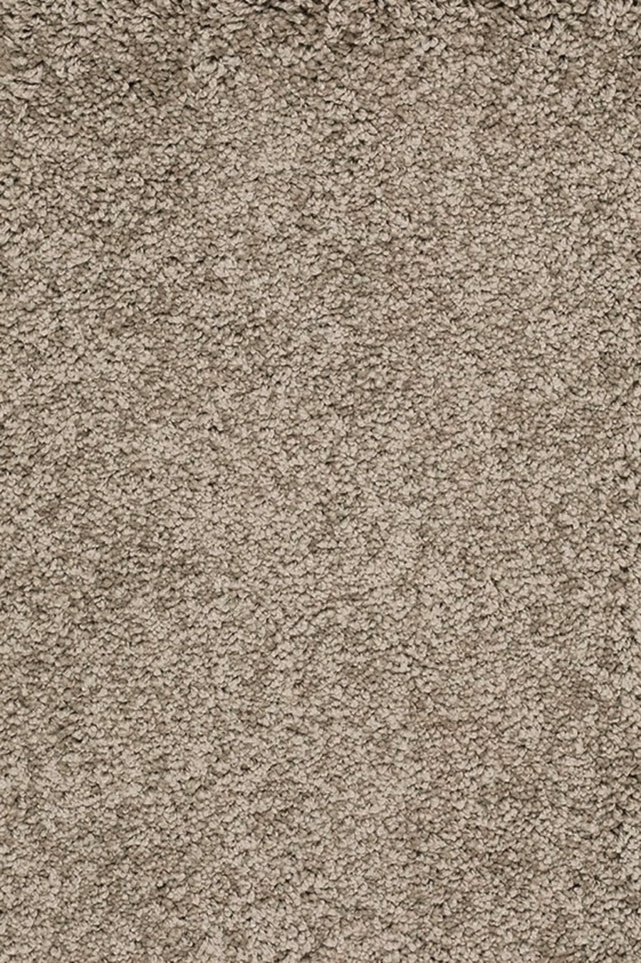 Sunny Farbe 173