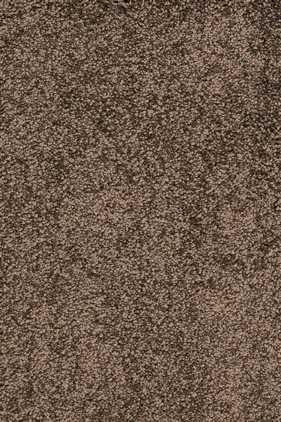 Sunny Farbe 092