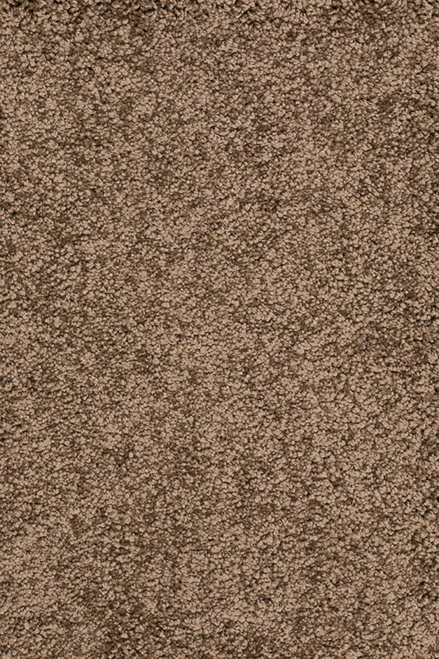 Sunny Farbe 091