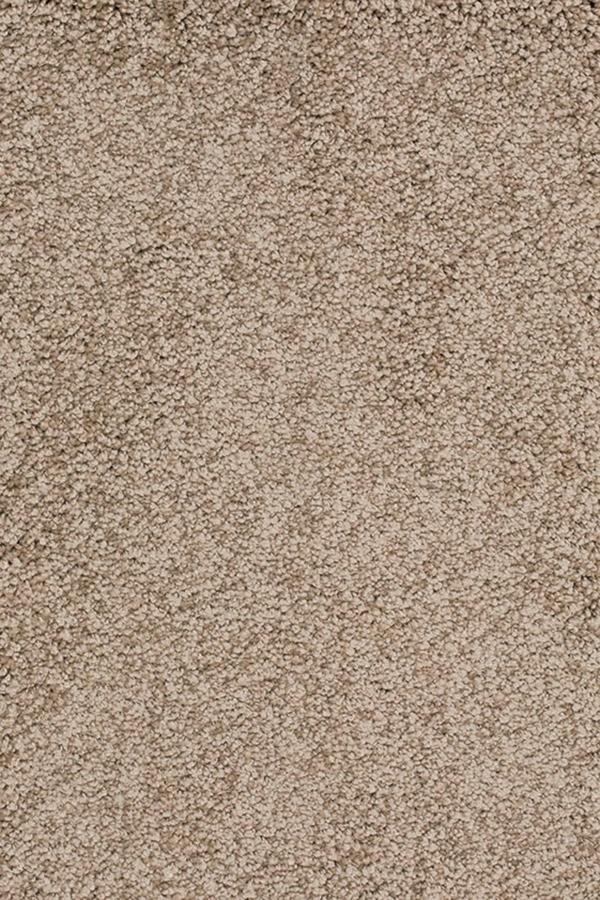 Sunny Farbe 072