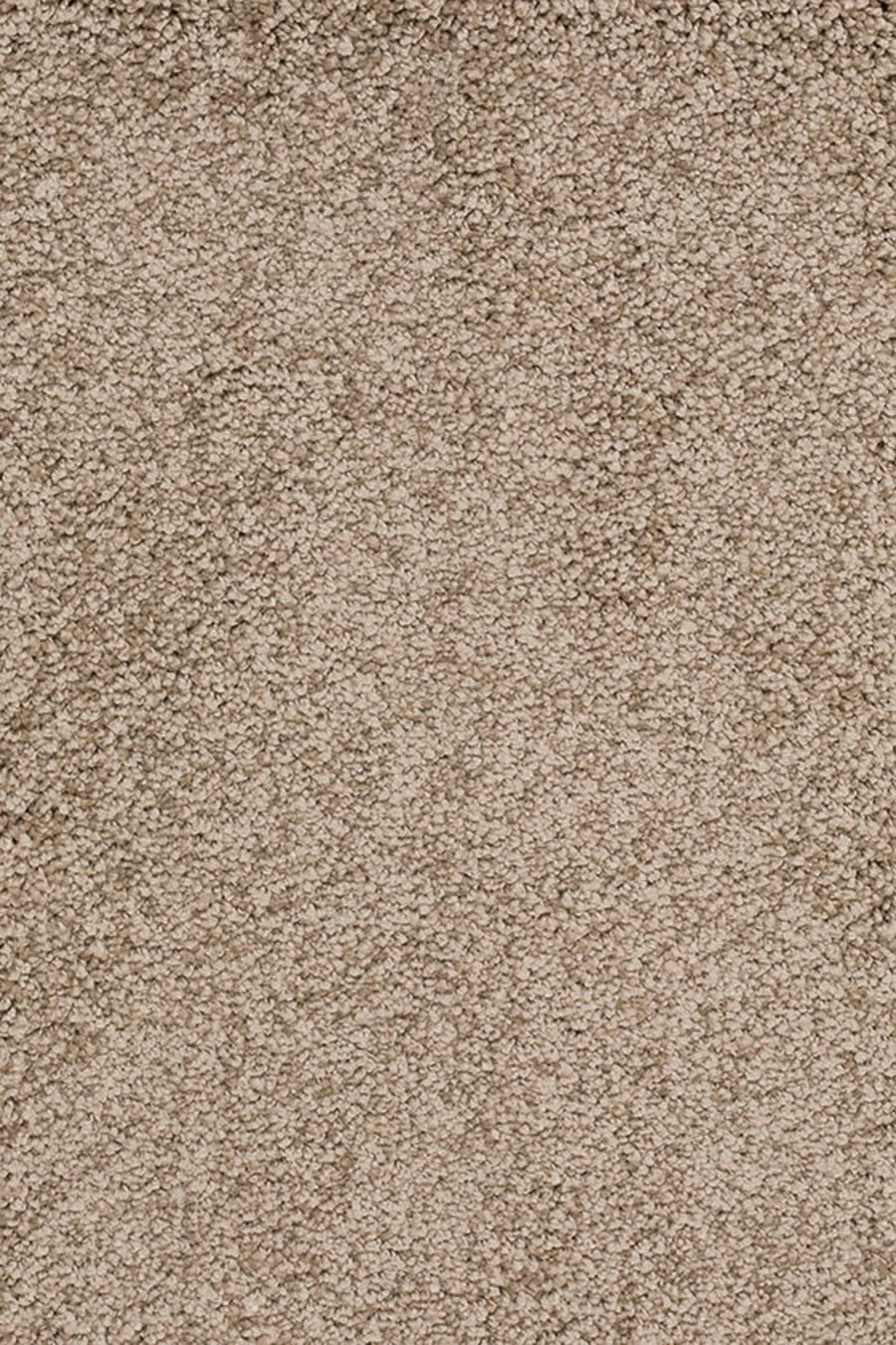 Sunny Farbe 072