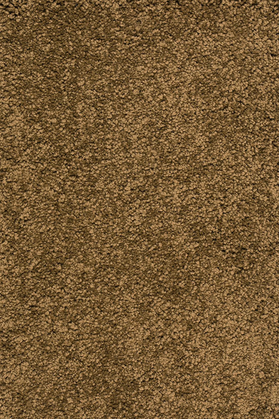 Sunny Farbe 055