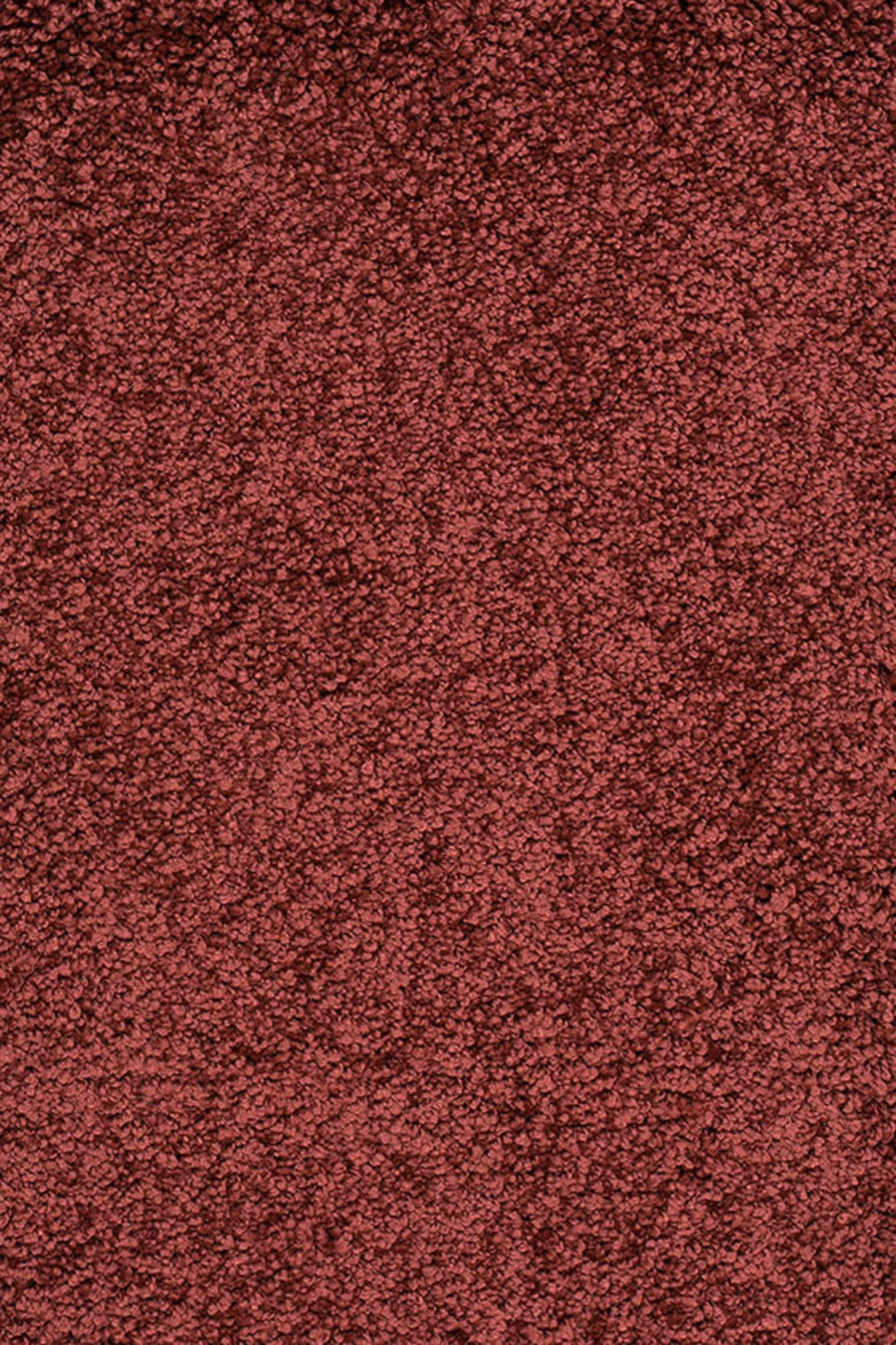 Sunny Farbe 020