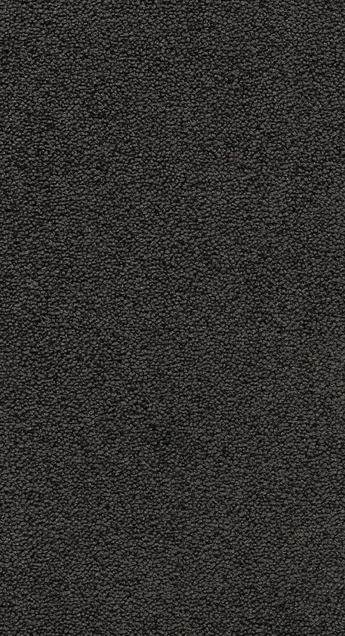 Nobel Farbe 79