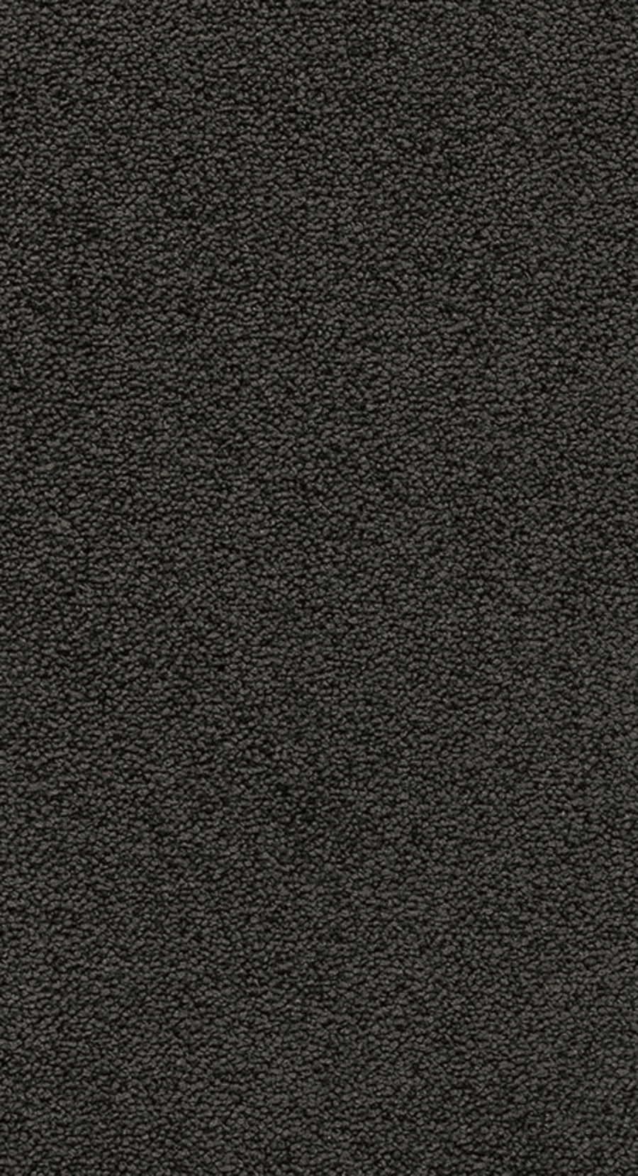 Nobel Farbe 79