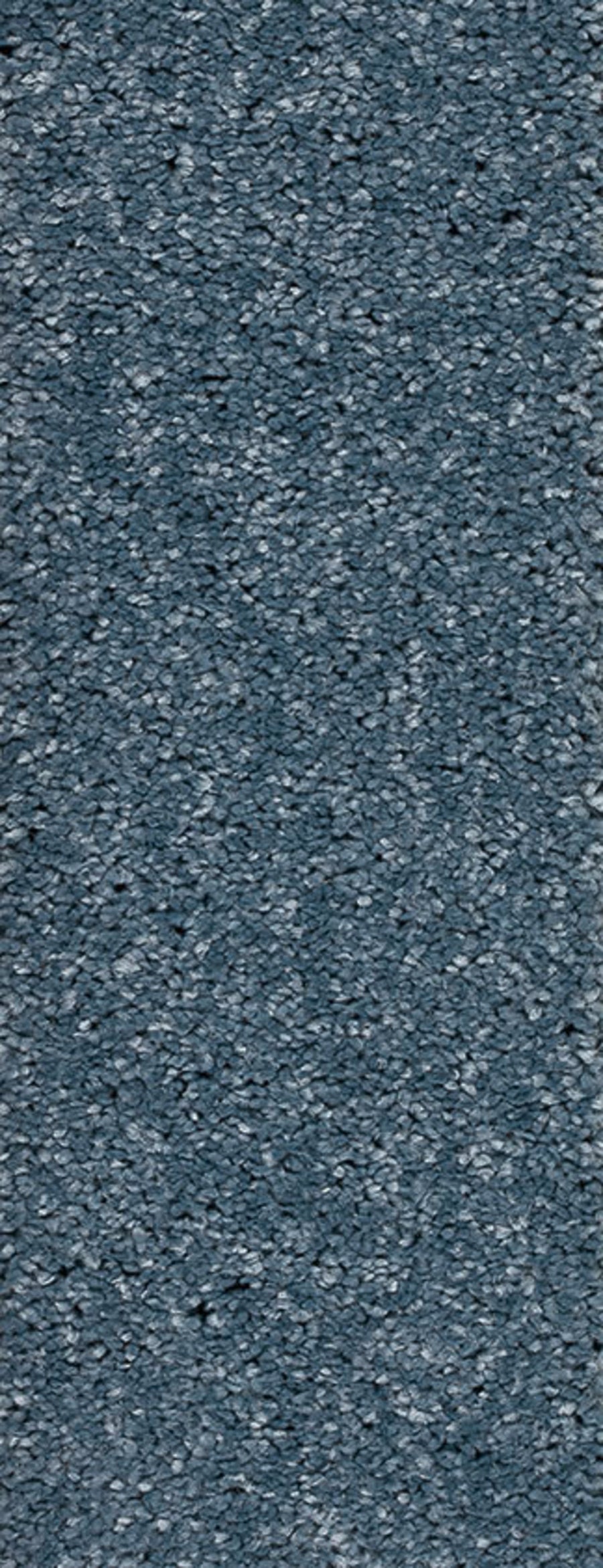 Montego Farbe 81