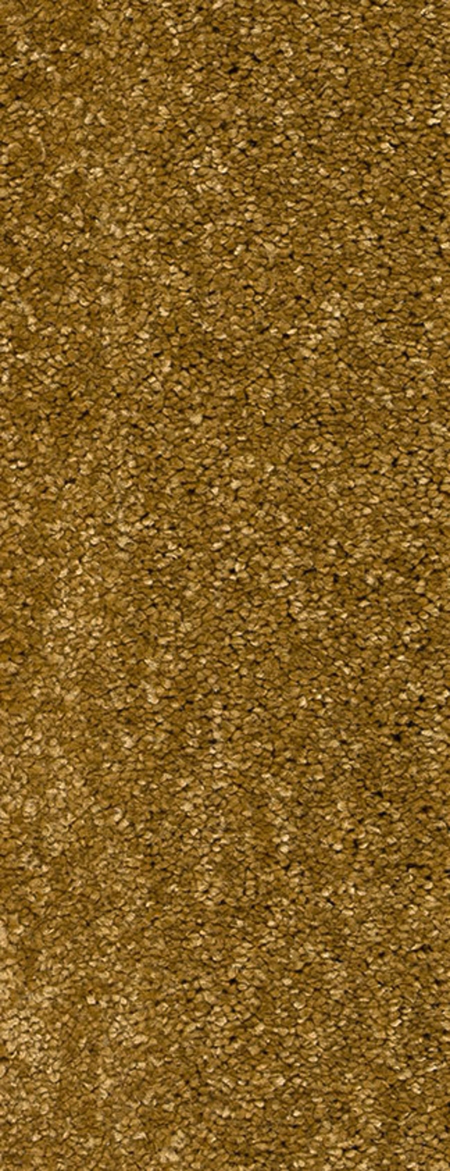 Montego Farbe 50