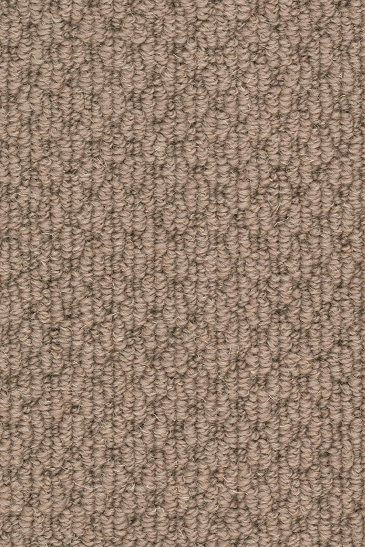 Kira Farbe 092