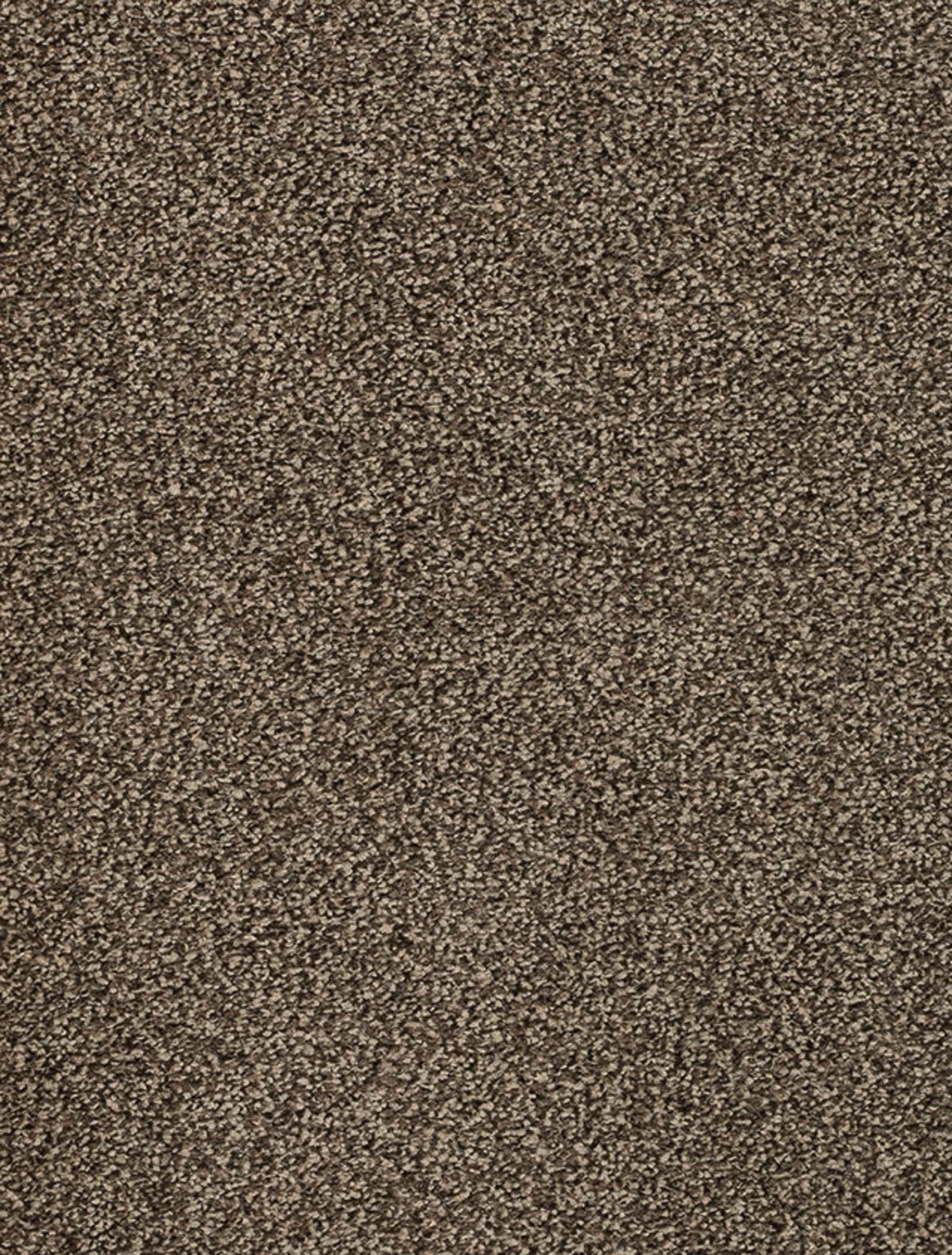 Derby Farbe 49