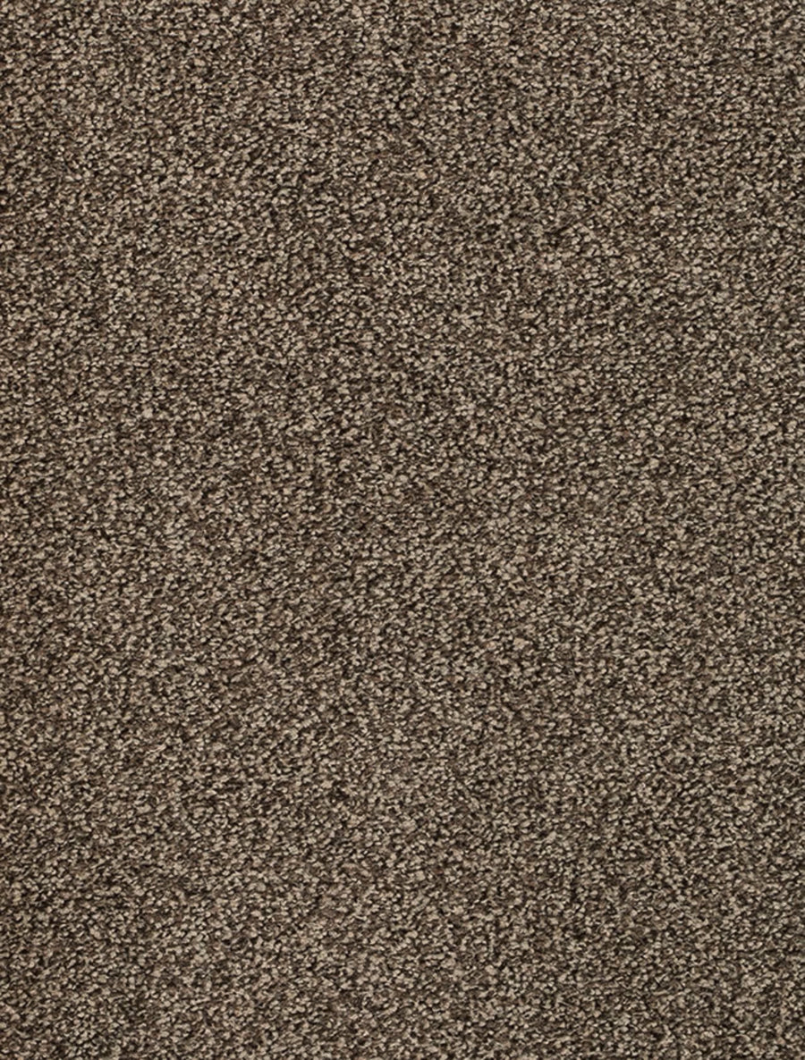 Derby Farbe 49