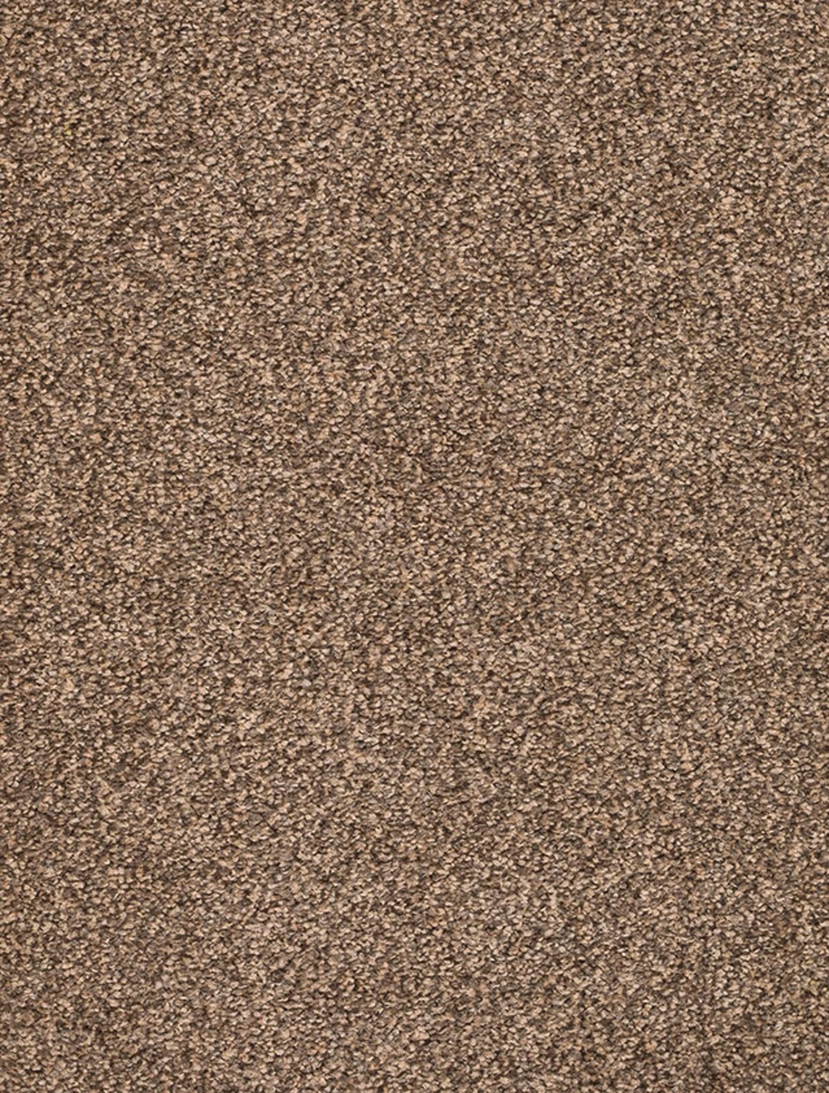 Derby Farbe 43