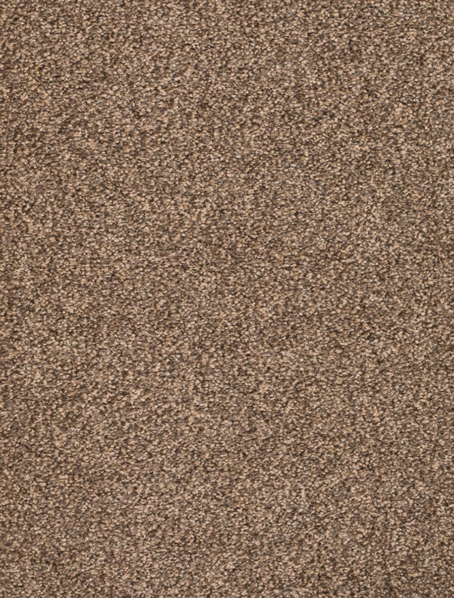 Derby Farbe 43
