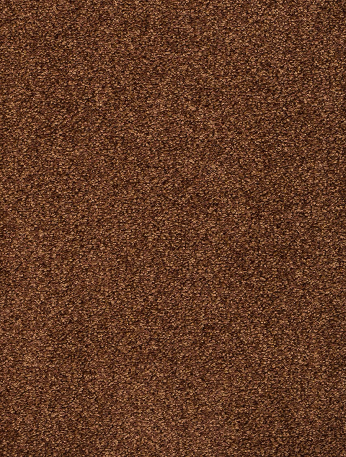 Derby Farbe 40