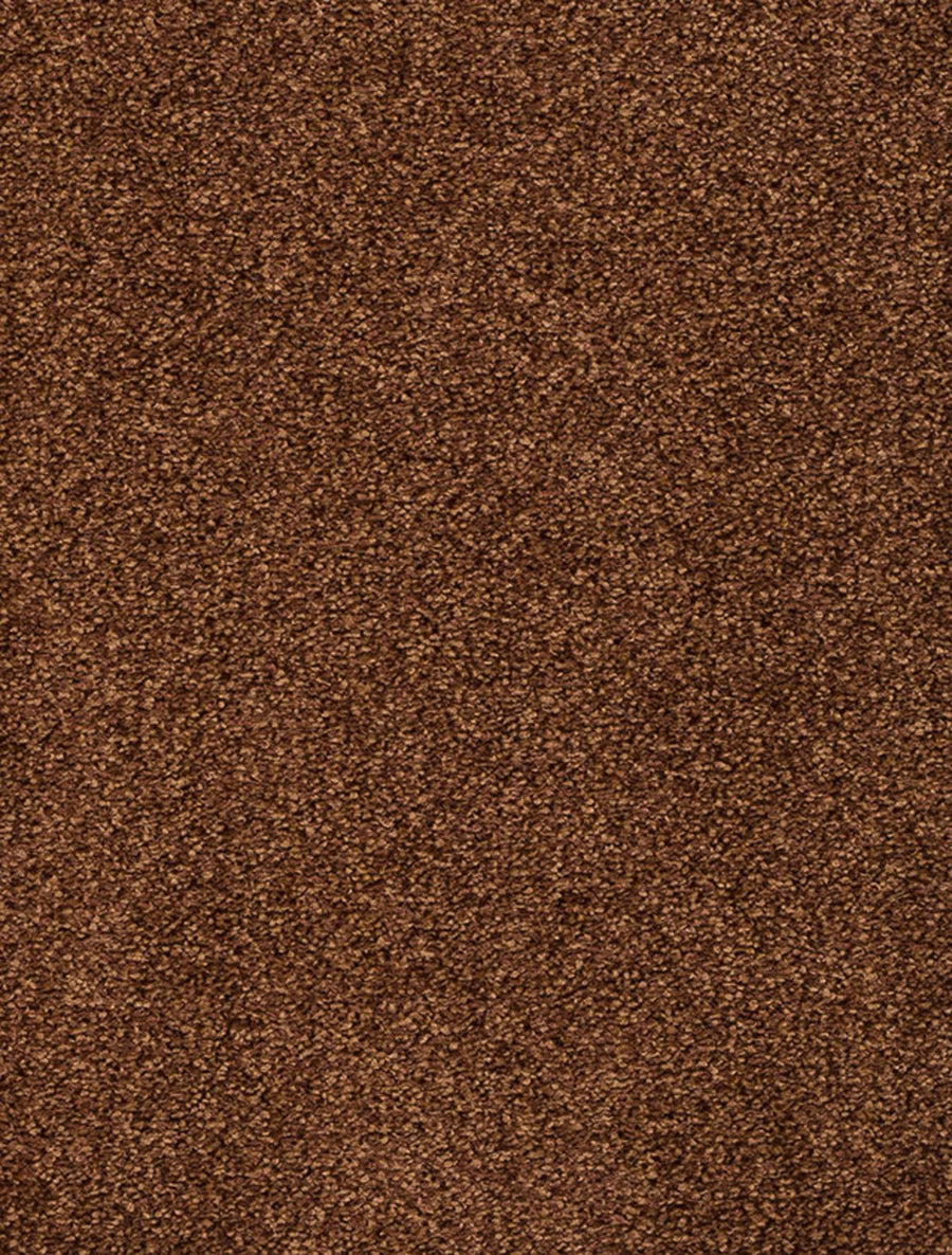 Derby Farbe 40