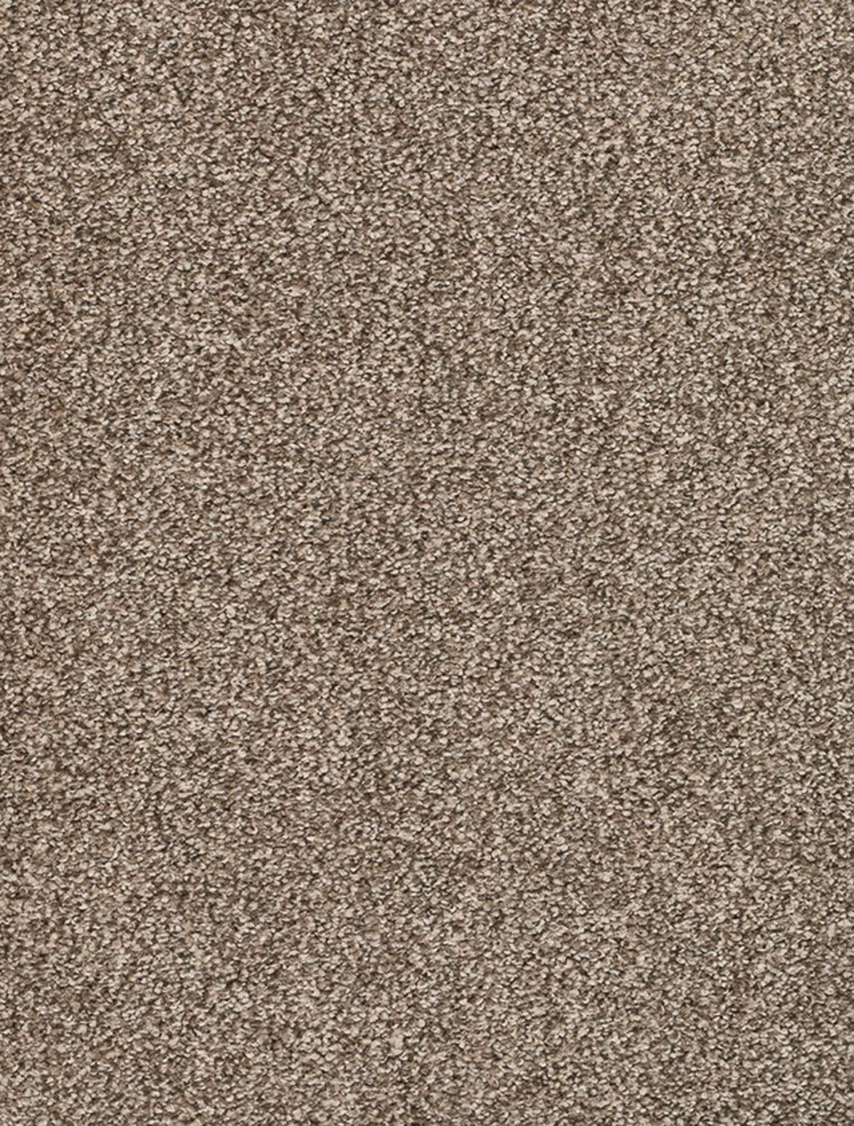 Derby Farbe 38