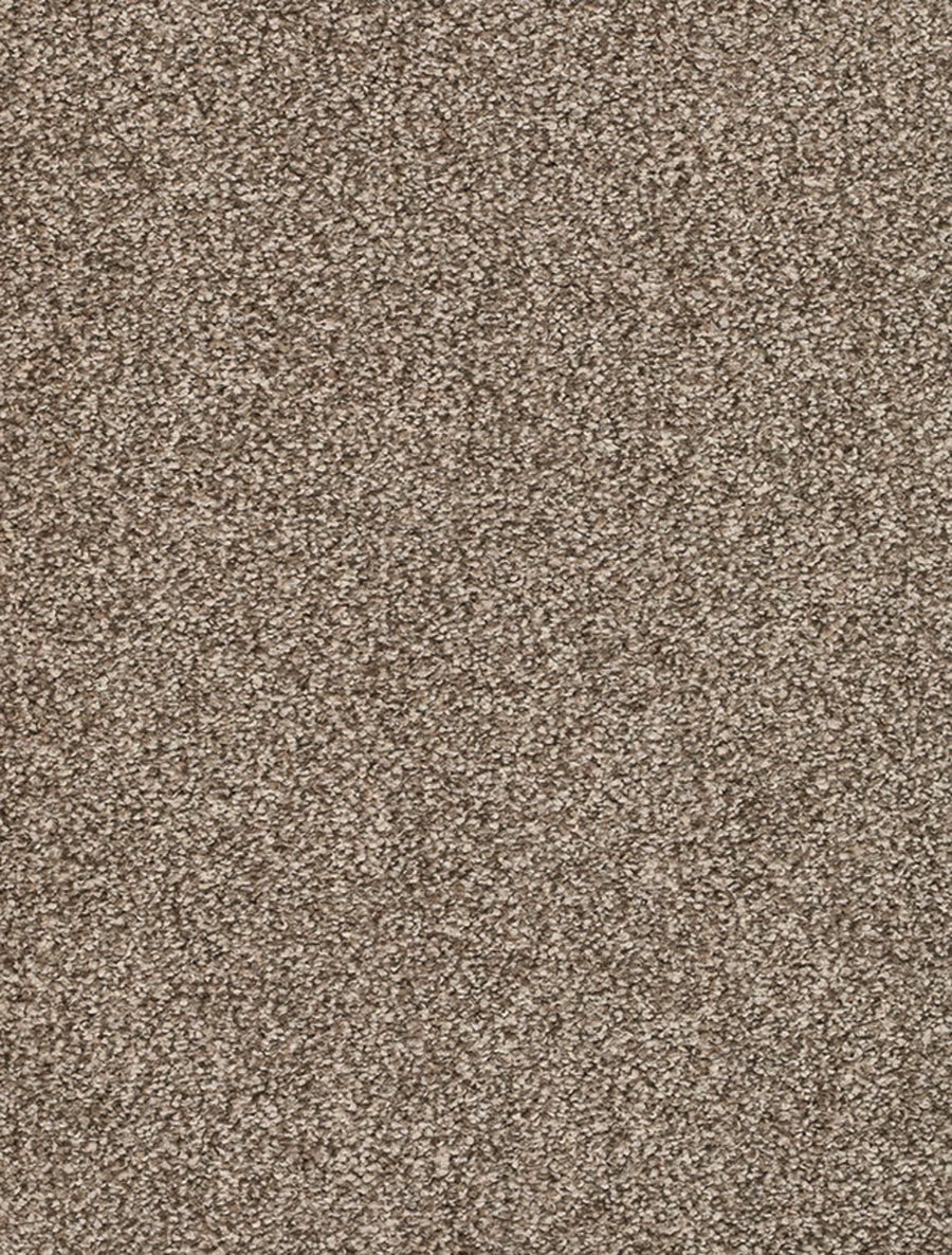 Derby Farbe 38