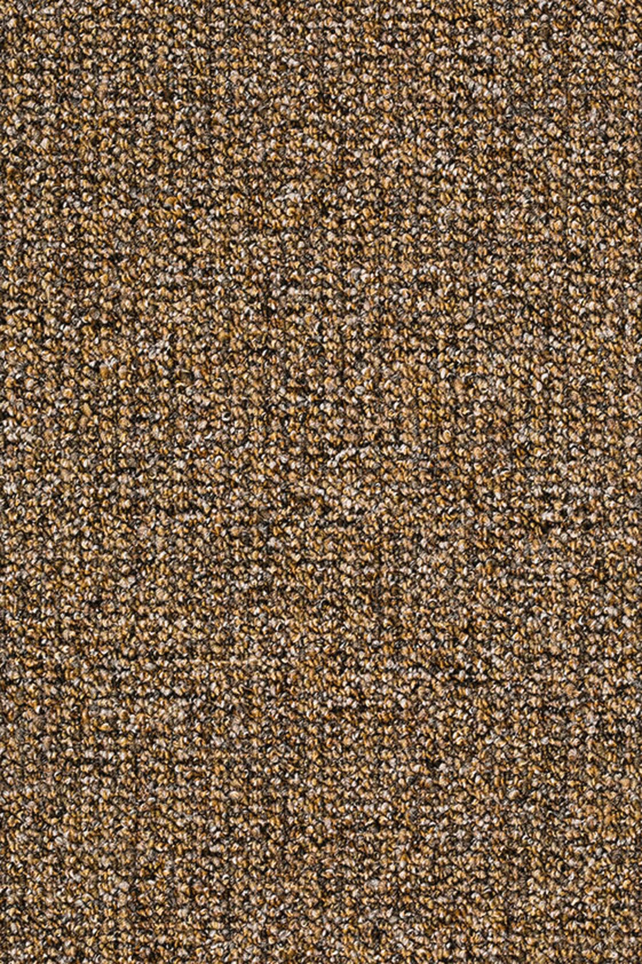 Dalia Farbe 054