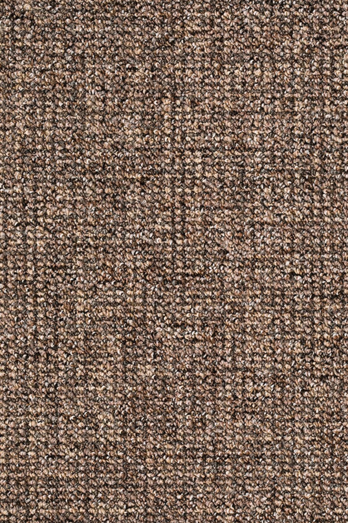 Dalia Farbe 043