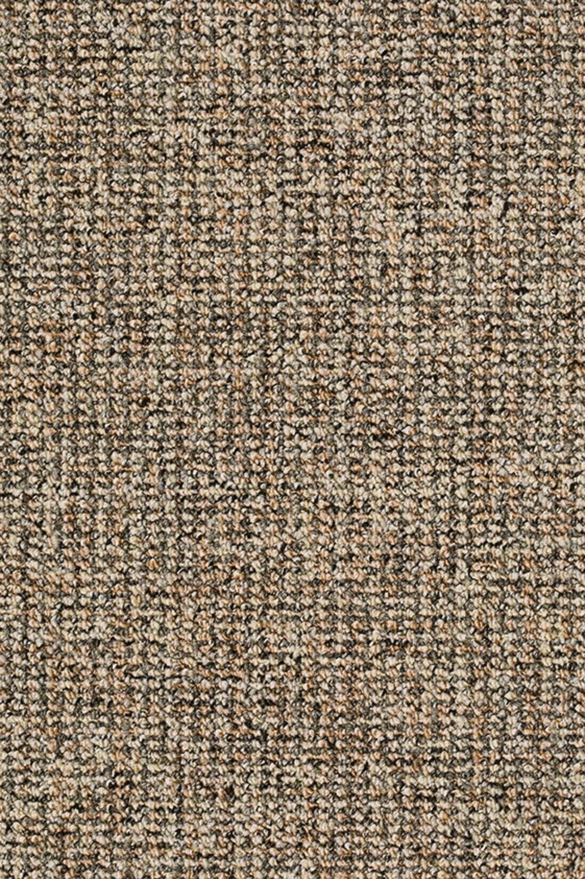 Dalia Farbe 033