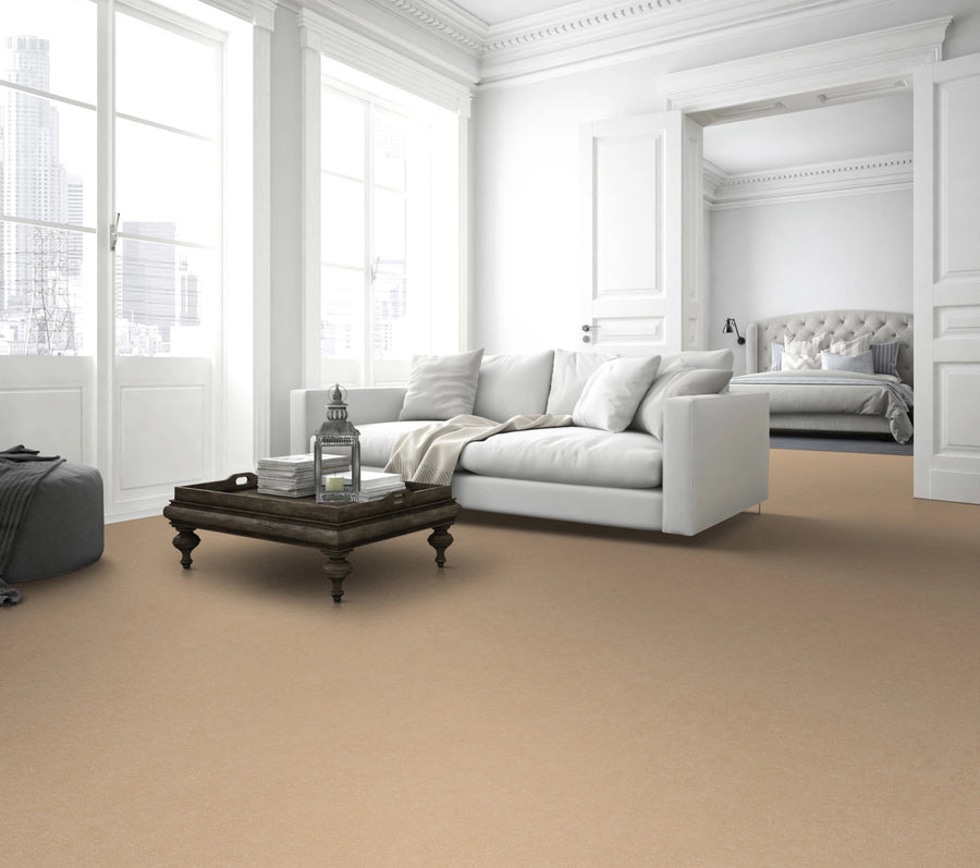 Astro Farbe 231