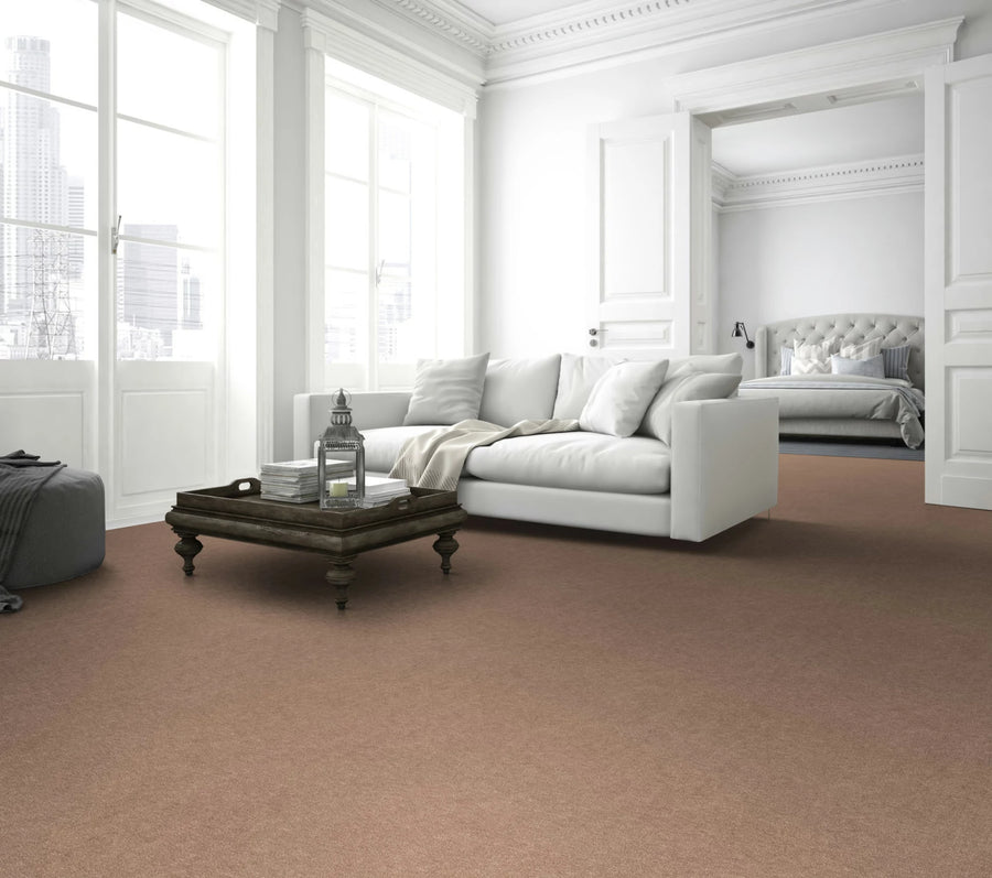 Astro Farbe 221