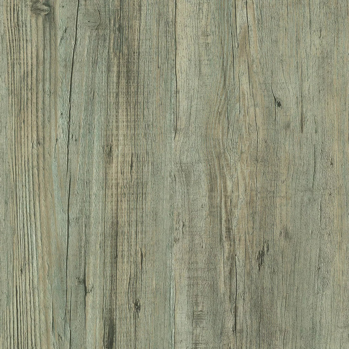 Design 340 834 Grey Pine