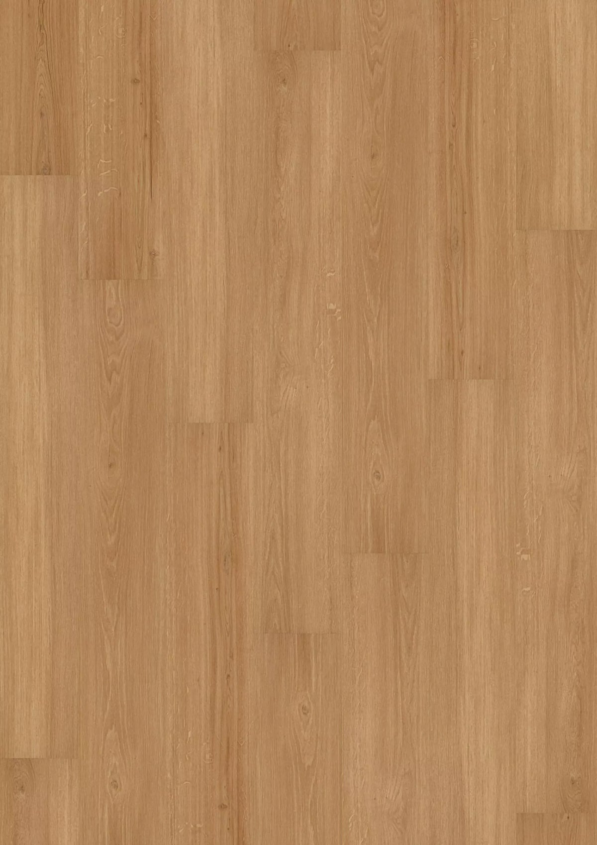 Sinero 734 7506 Incredible Light Oak