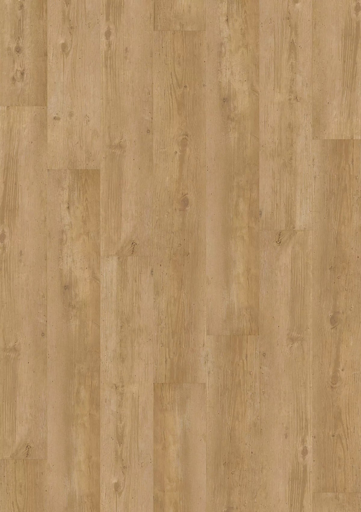 Sinero 734 7503 Natural Conifer