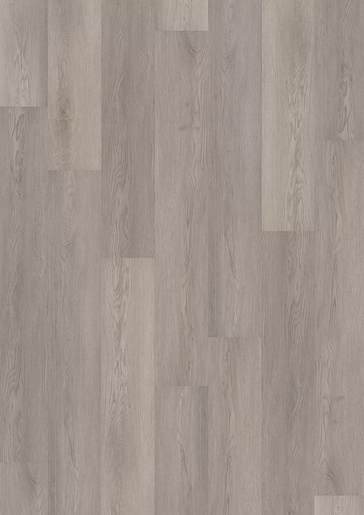 Sinero 734 7501 Grey Gotham Oak