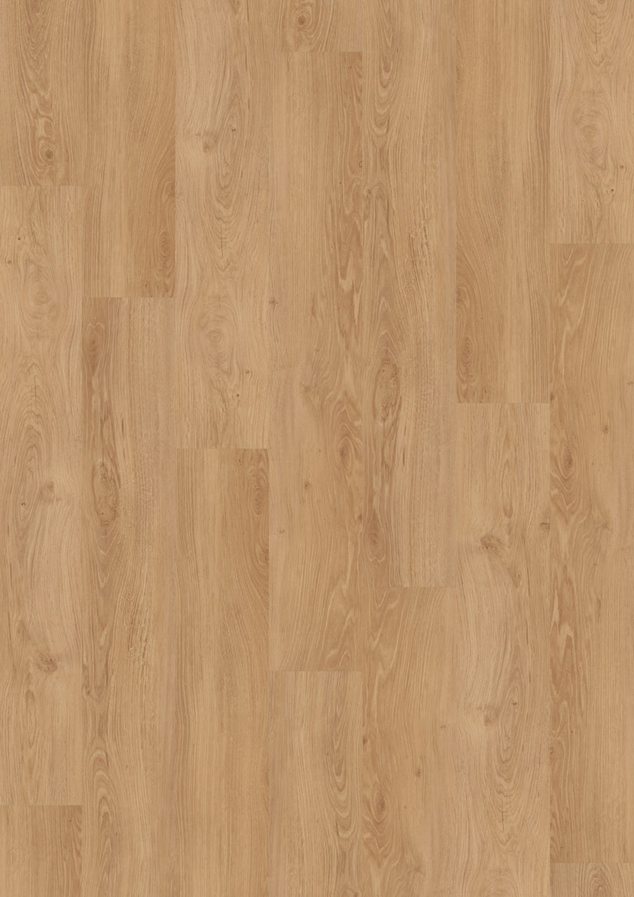 Design 340 HDF 4254 Fresh Oak