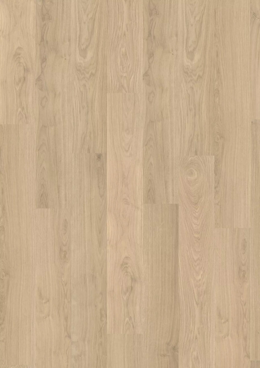 Madison 2850 Oak ruby