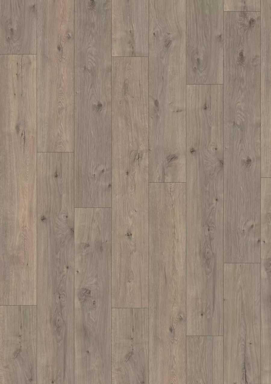 Madison City 4833 Oak shadow V4