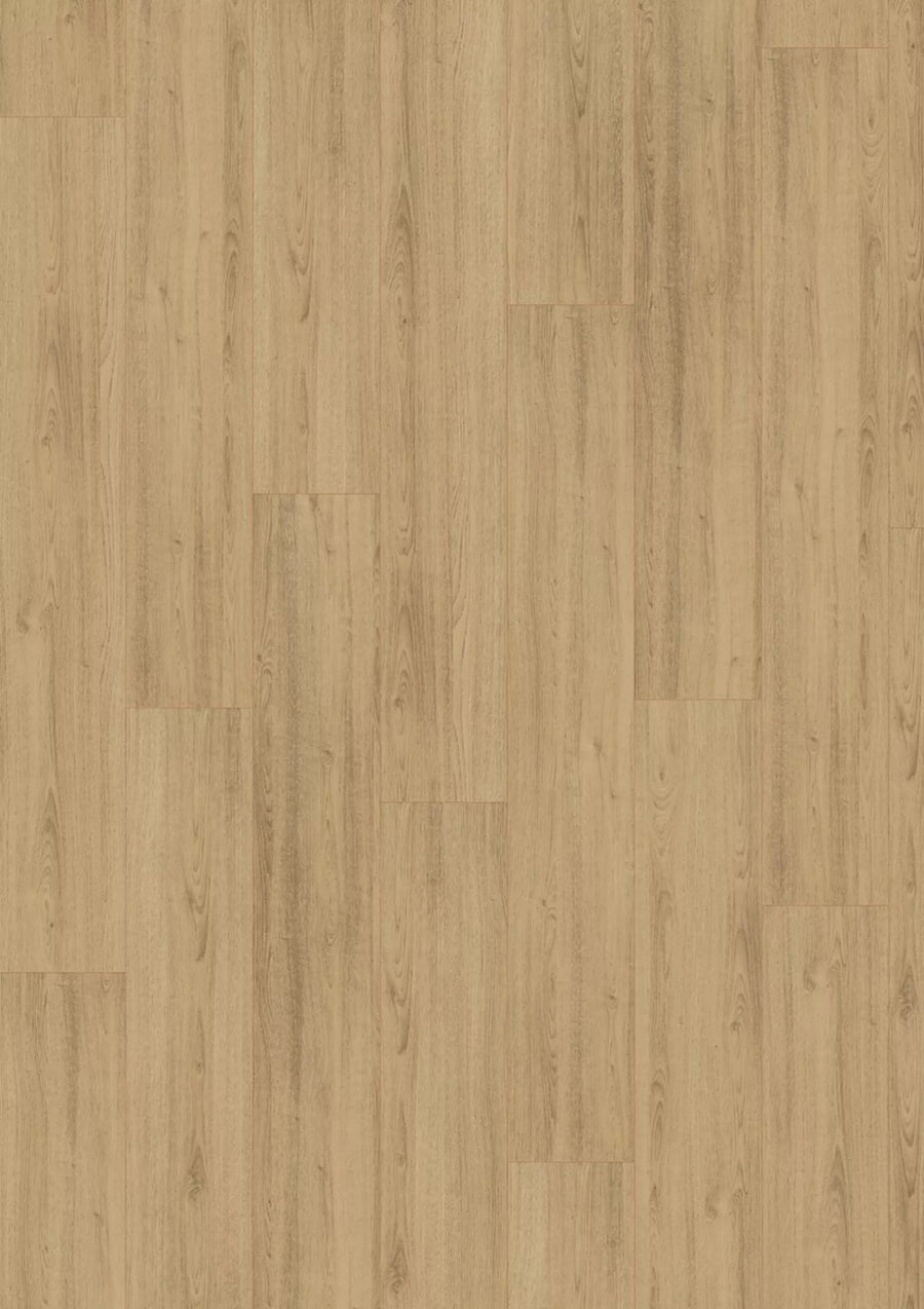 Madison City 4842 Oak mild V4