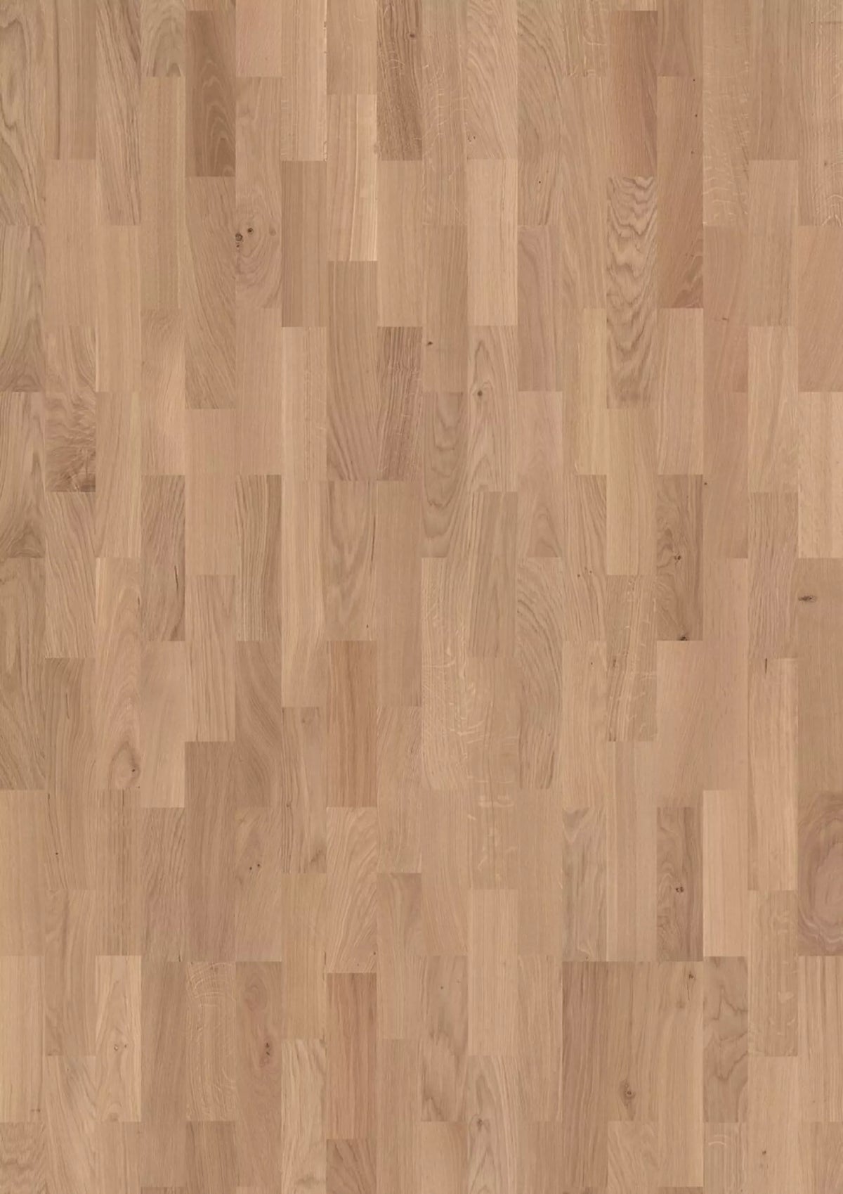 Kingston 535 SB E1824 Eiche creme