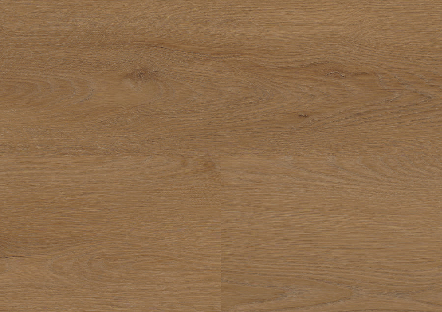 Dublin Oak Brown MLD838WXL