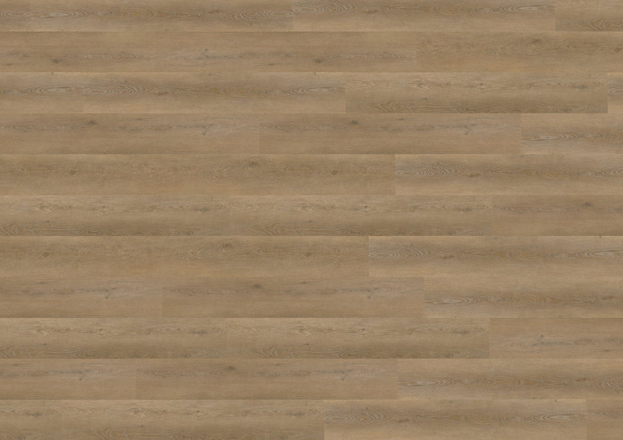 Palermo Oak Brown DB837WXL